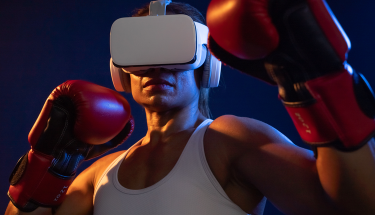VR boxer